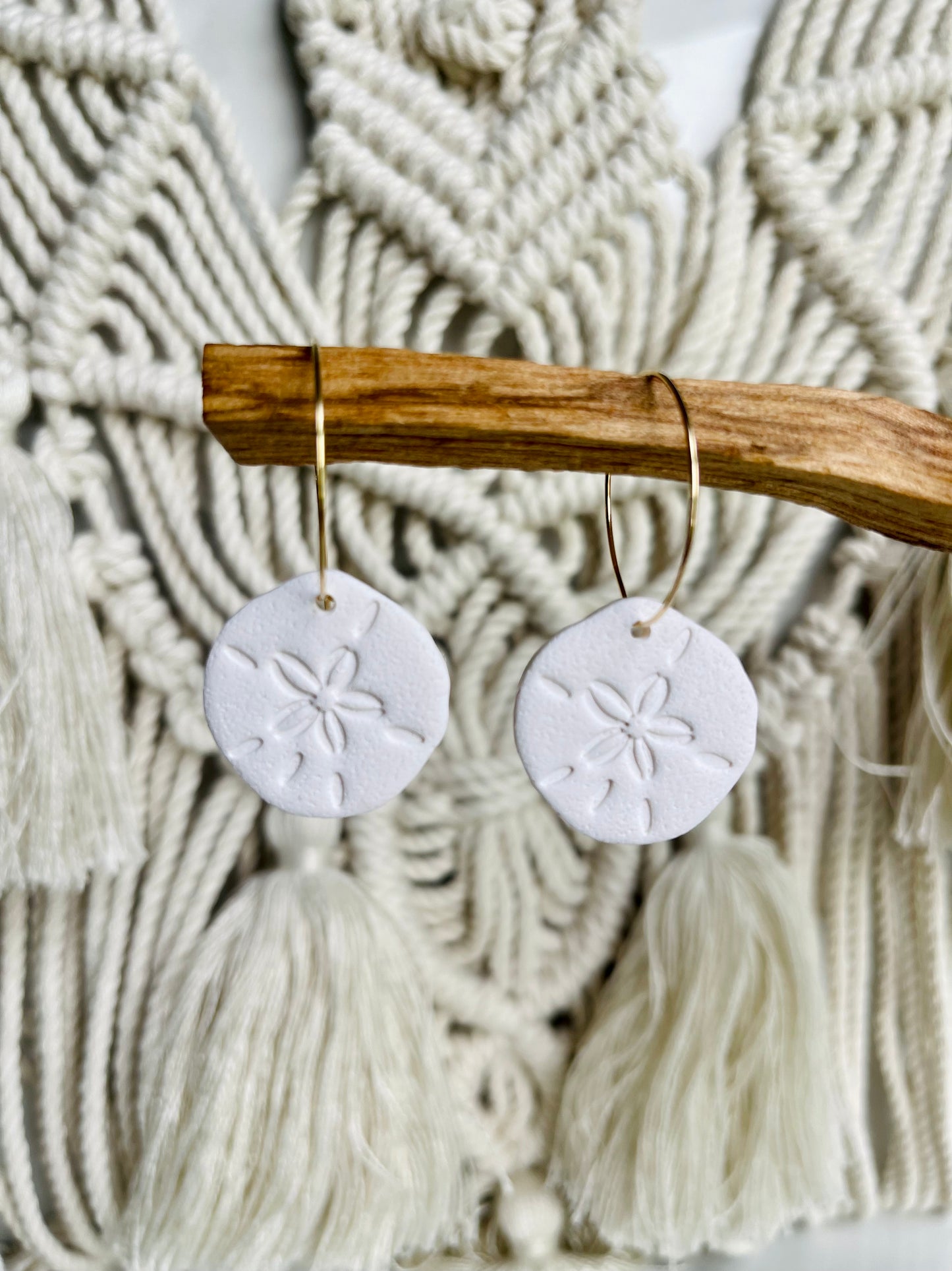 Sand Dollar Minis