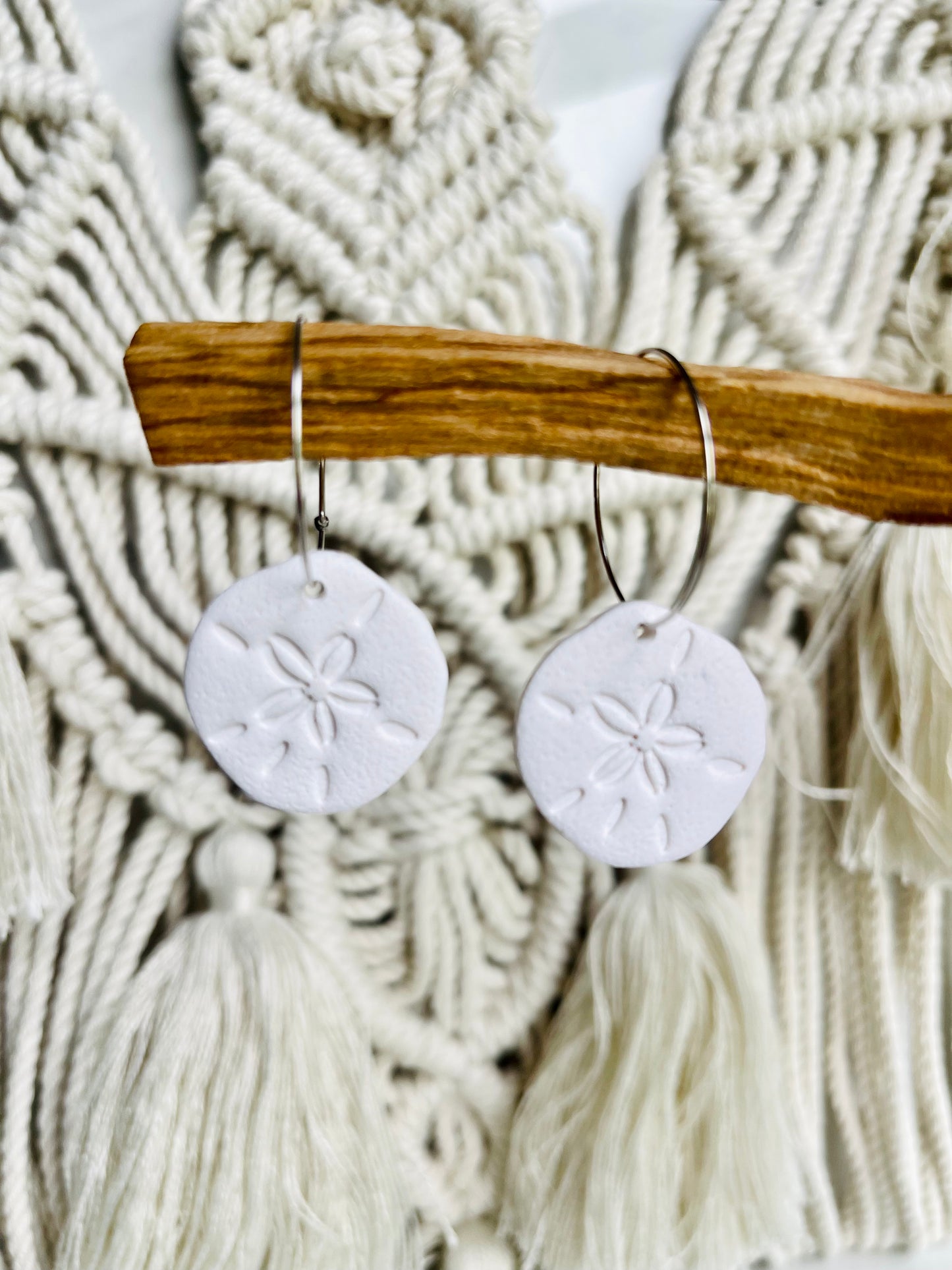Sand Dollar Minis