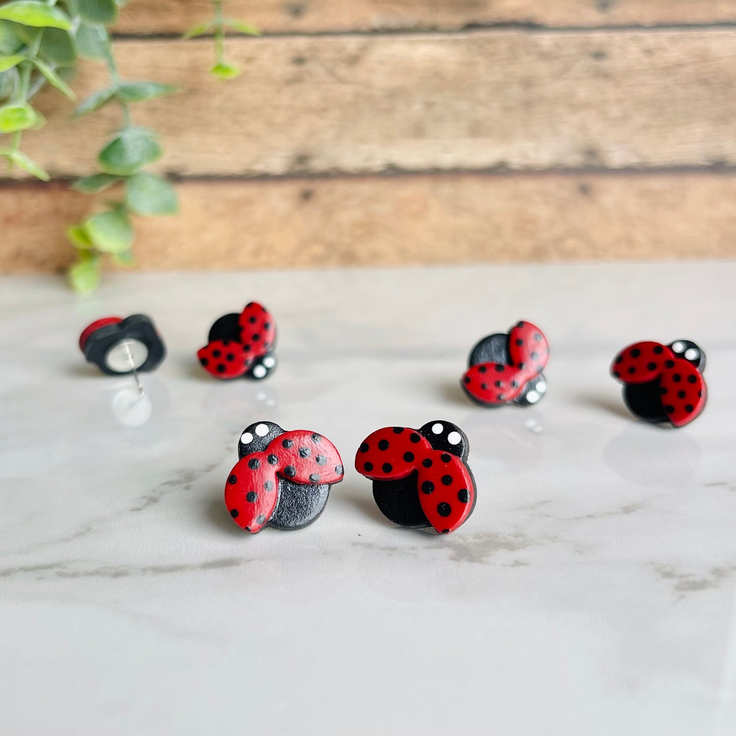 Lady Bugs